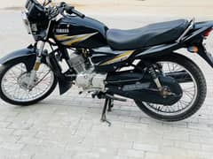 *Yamaha