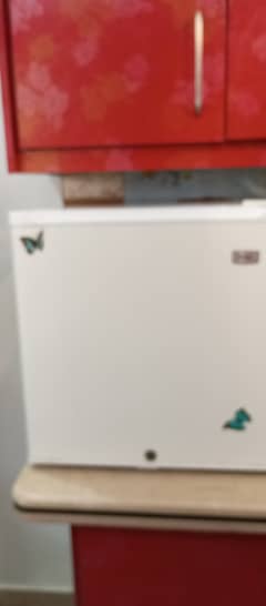 Mini Refrigerator & Freezer