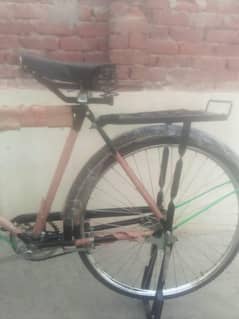 new cycle