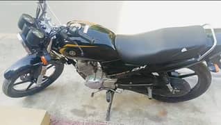 Yamaha