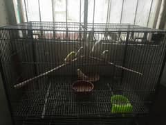 cage