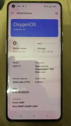 one plus 9 8,128