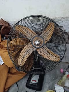 lush condition fan