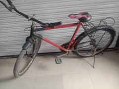 Cycle