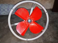 fan
