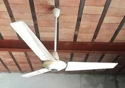 پنکھے برائے فروخت