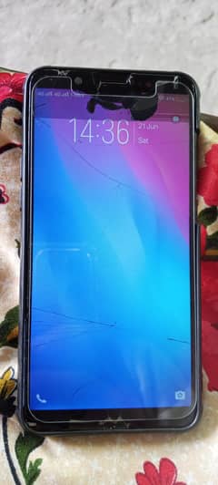 vivo