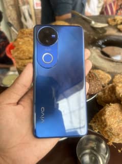 vivo