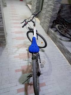 imported cycle