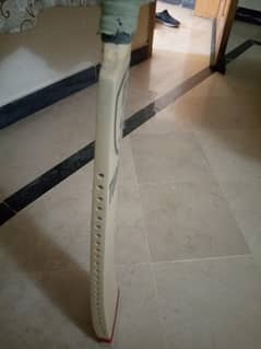 Cricket