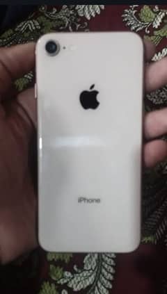 GB64
