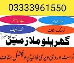 House Maid, Babysitter, Patient Care, Nanny, Nurse, Driver, Chef, Cook