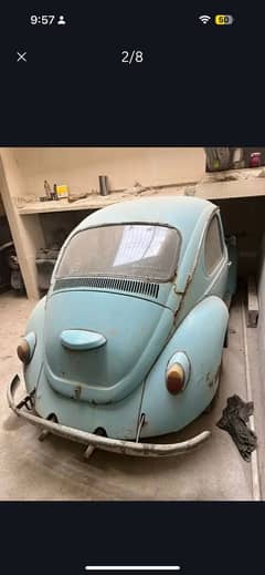 Beetle