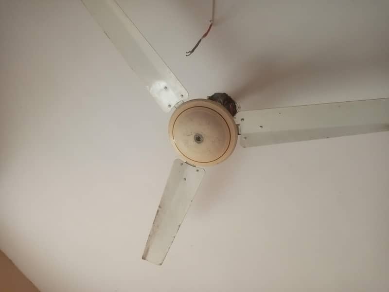 super genera fan 220 volt 0