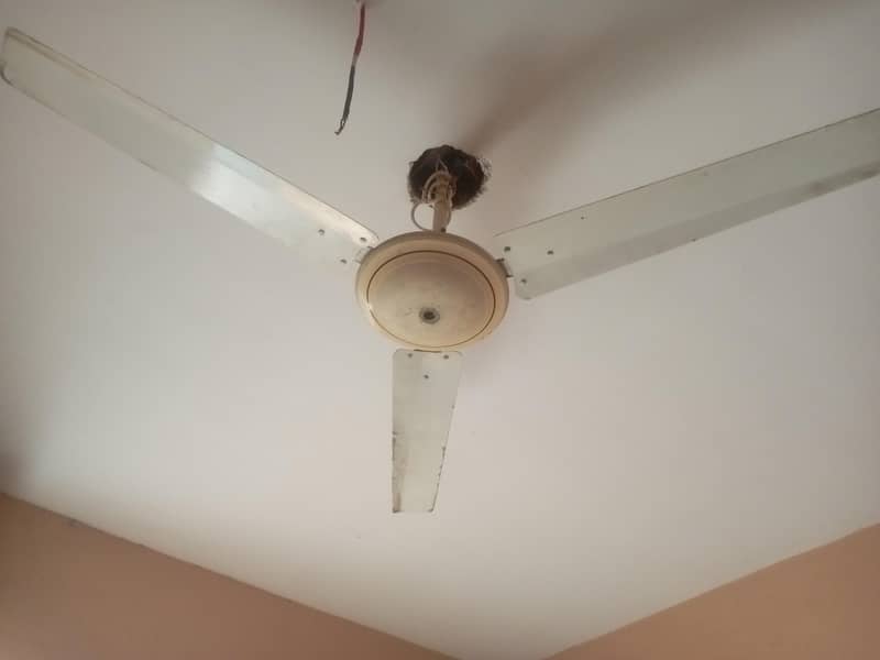 super genera fan 220 volt 1