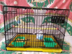 WITH GAGE URGENT SALE NEED MONEY