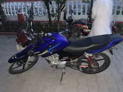 Ybr125