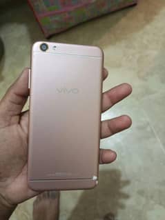vivo y66