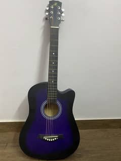 Swift horse begginer guitar
