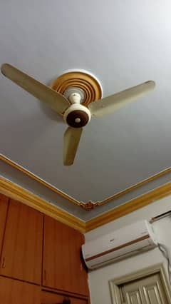 Ceiling fan in running condition