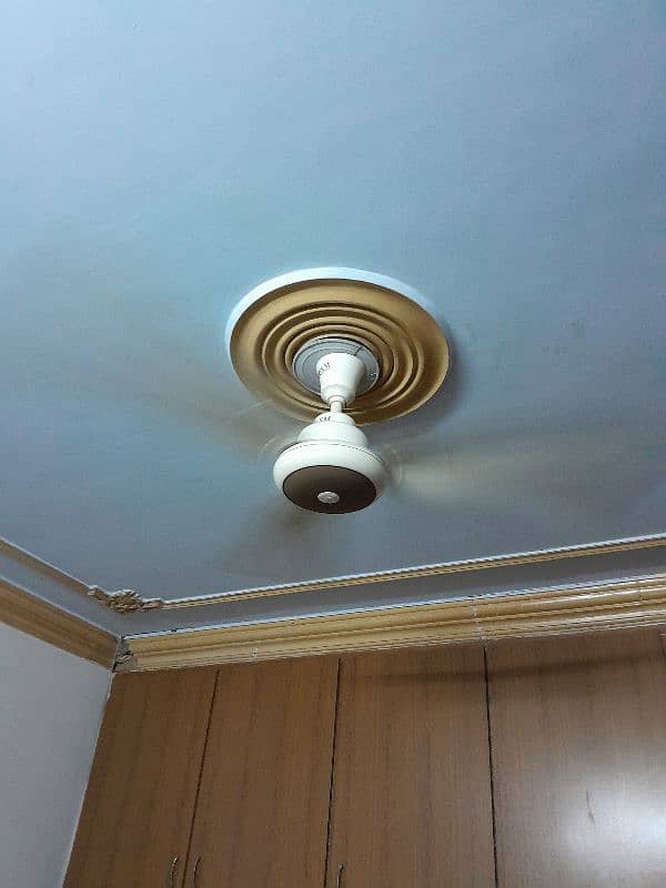 Ceiling fan in running condition 2