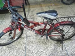 China bicycle sale
