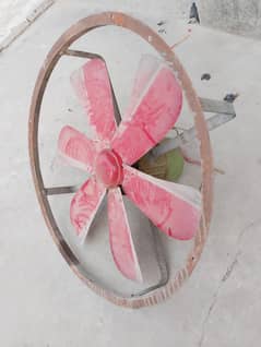 Cooler fan