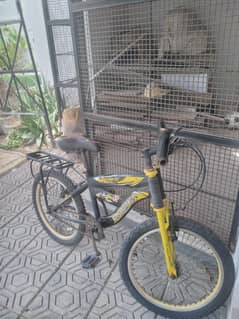 cycle