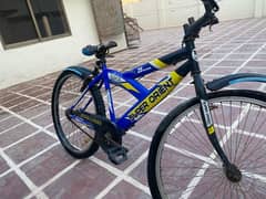 cycle