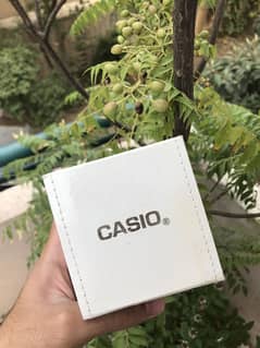 Original casio new watch