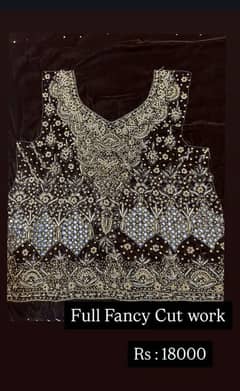 Brand New Full Fancy Blouse