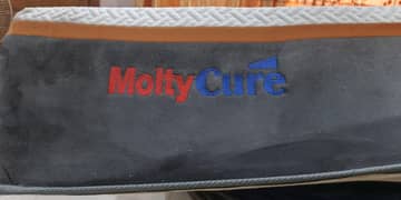 Molty Foam Medicated Mattress (Inclined shape) (Queen size)