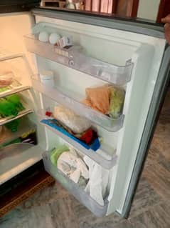 sale the fridge