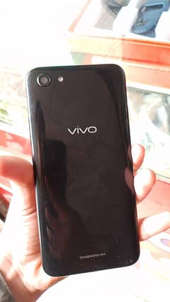 Vivo
