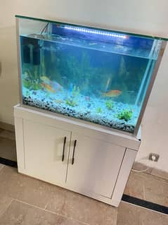 Aquarium For Sale