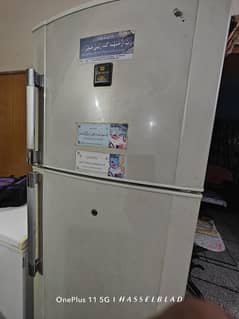 Dawlance Full size fridge
