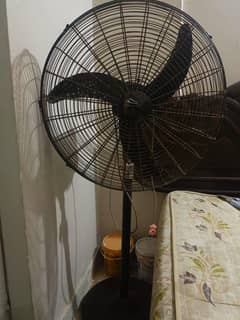 padstal fan