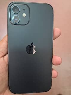 IPhone 12 for Sale