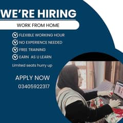 Home based job only for ladies34
