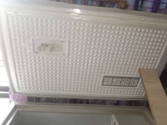 Daiko Esta Freezer