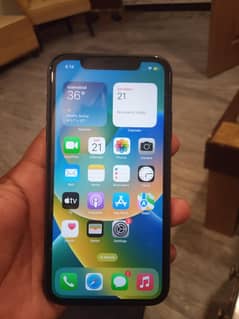 iPhone 11 PTA approved