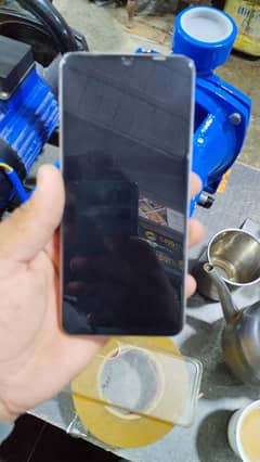 vivo