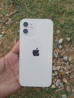 iPhone 12