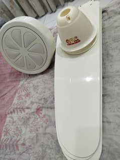 Royal Fan New Condition