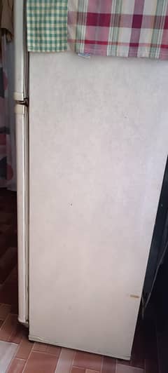 pel fridge