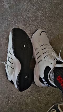 sports shoes