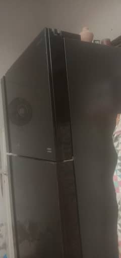 new Frej for sale 03122280381