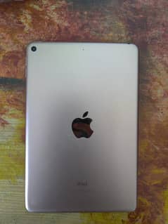 I pad mini 5
