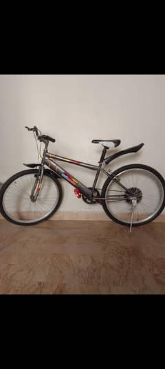 Bicycle
