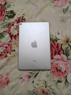 ipad mini 5 used lash condition